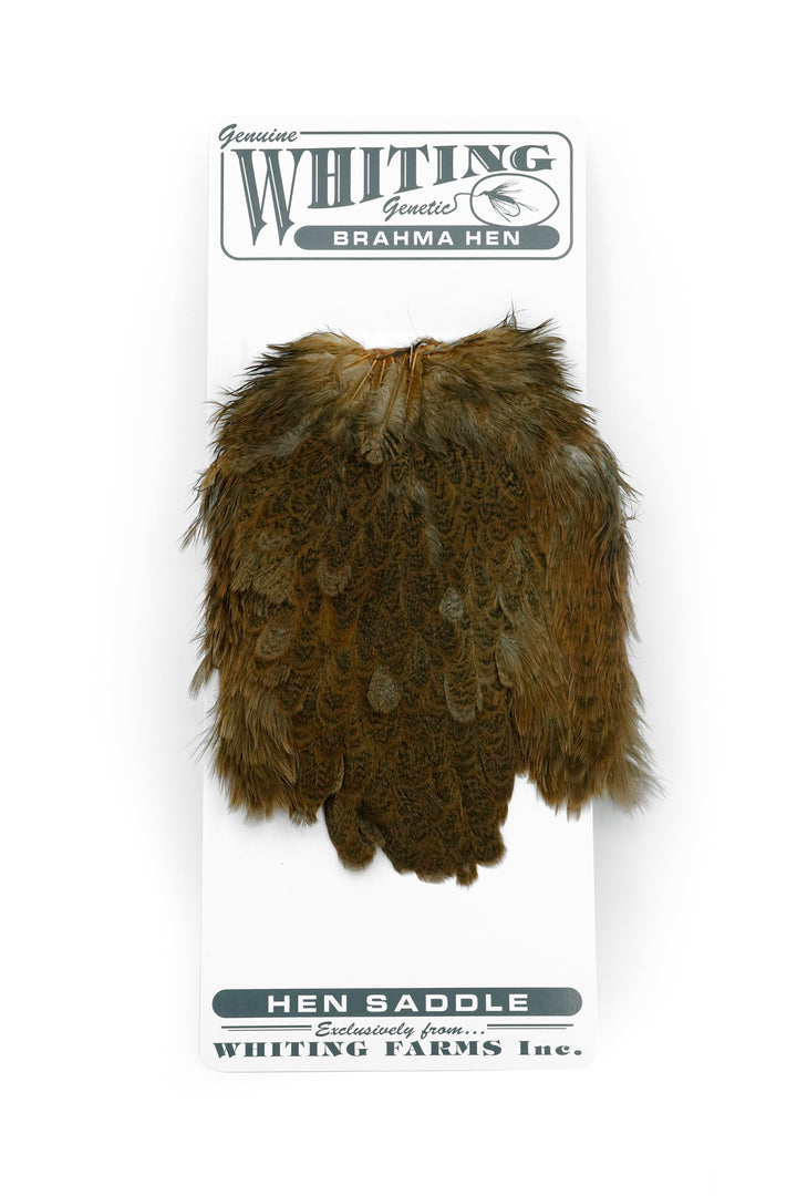 Brahma Hen Saddle