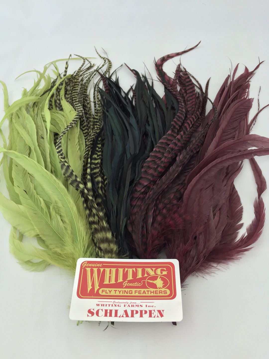 Schlappen Bundle 10"-14"