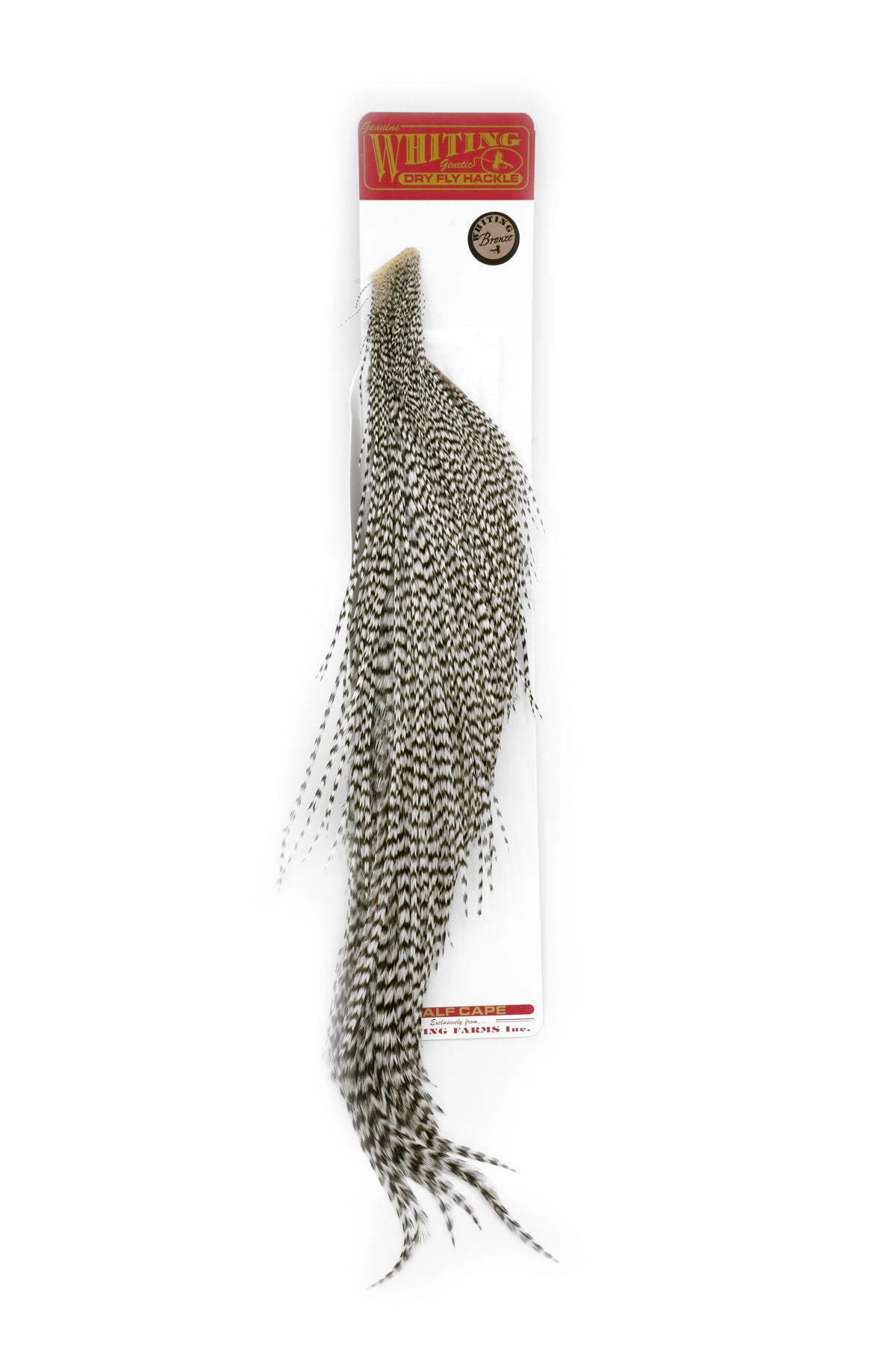 Whiting Coq De Leon Soft Hackle with Chickabou – Whiting Farms Whiting Coq De Leon Soft Hackle with Chickabou – Whiting Farms
