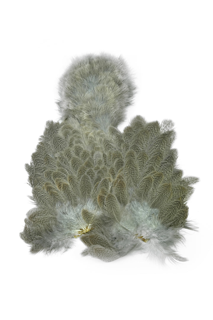 Brahma Hen Soft Hackle w/ Chickabou