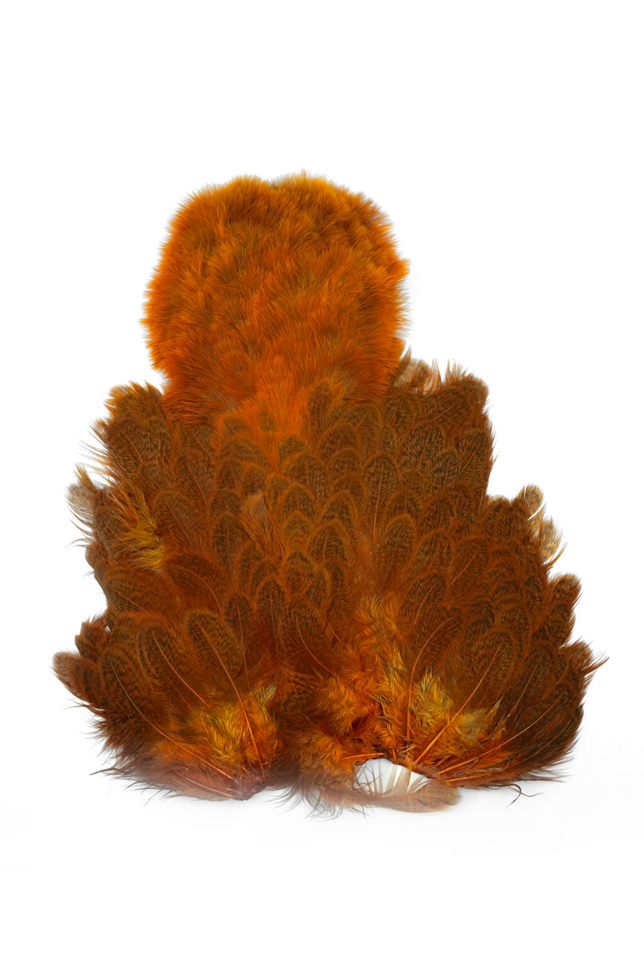 Brahma Hen Soft Hackle w/ Chickabou