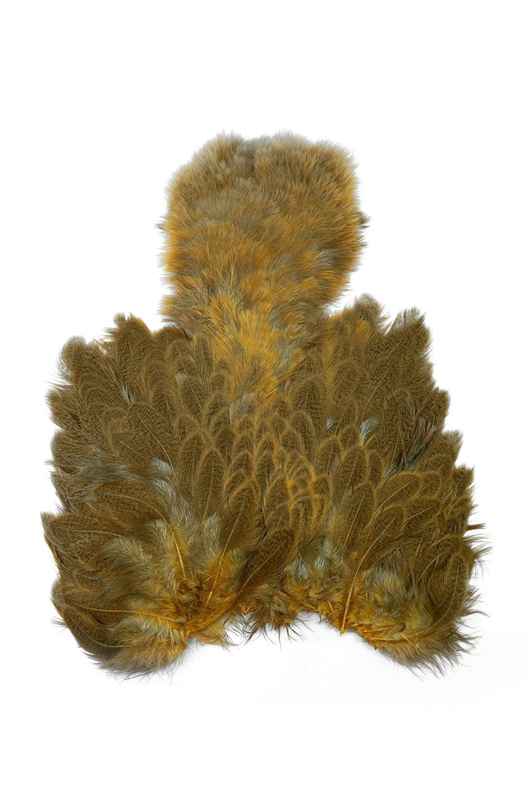 Brahma Hen Soft Hackle w/ Chickabou