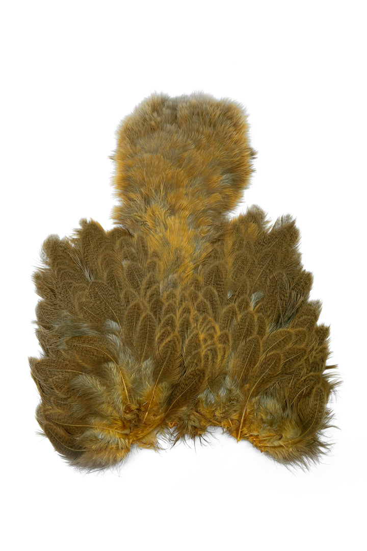 Brahma Hen Soft Hackle w/ Chickabou