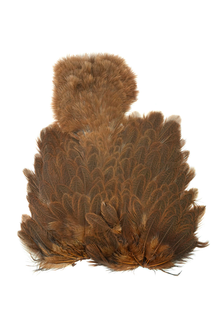 Brahma Hen Soft Hackle w/ Chickabou