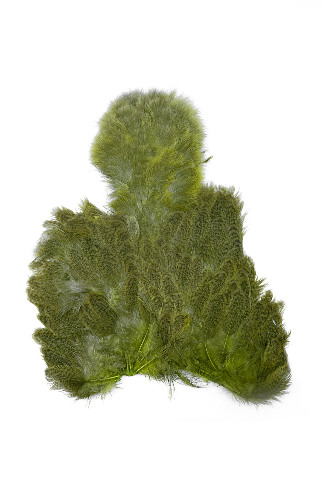 Brahma Hen Soft Hackle w/ Chickabou