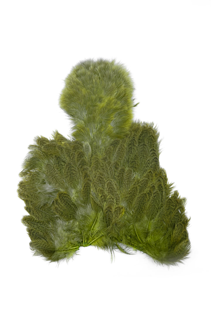 Brahma Hen Soft Hackle w/ Chickabou