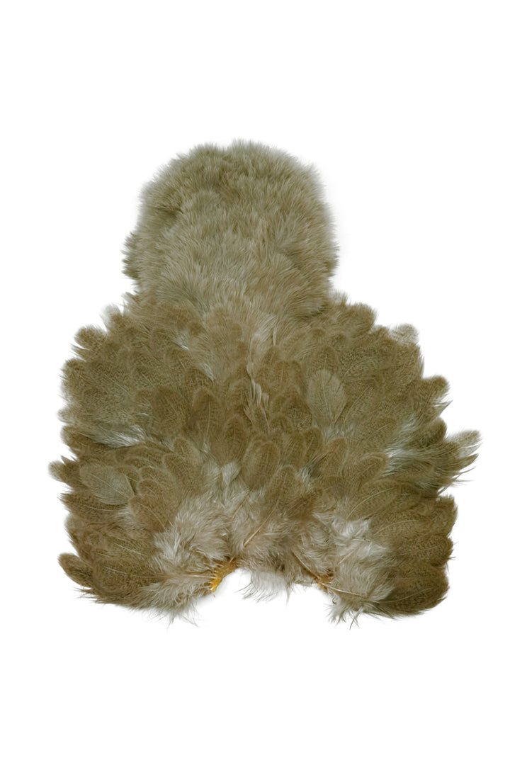 Brahma Hen Soft Hackle w/ Chickabou