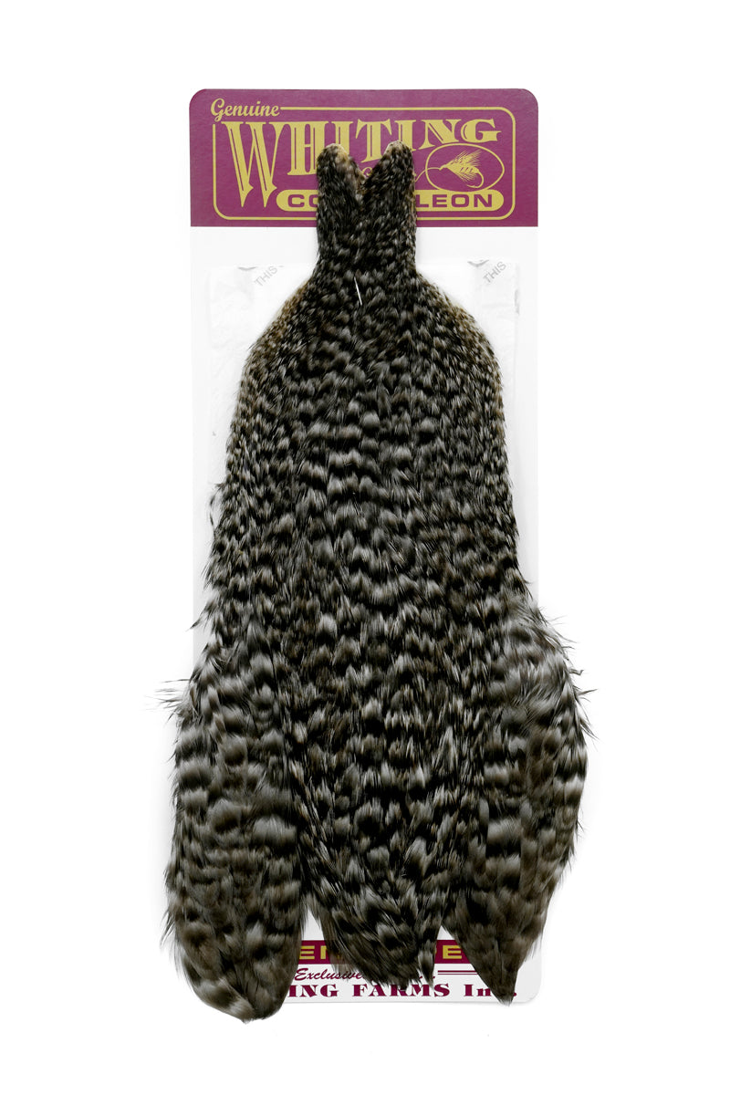 Coq de Leon Hen Cape – Whiting Farms