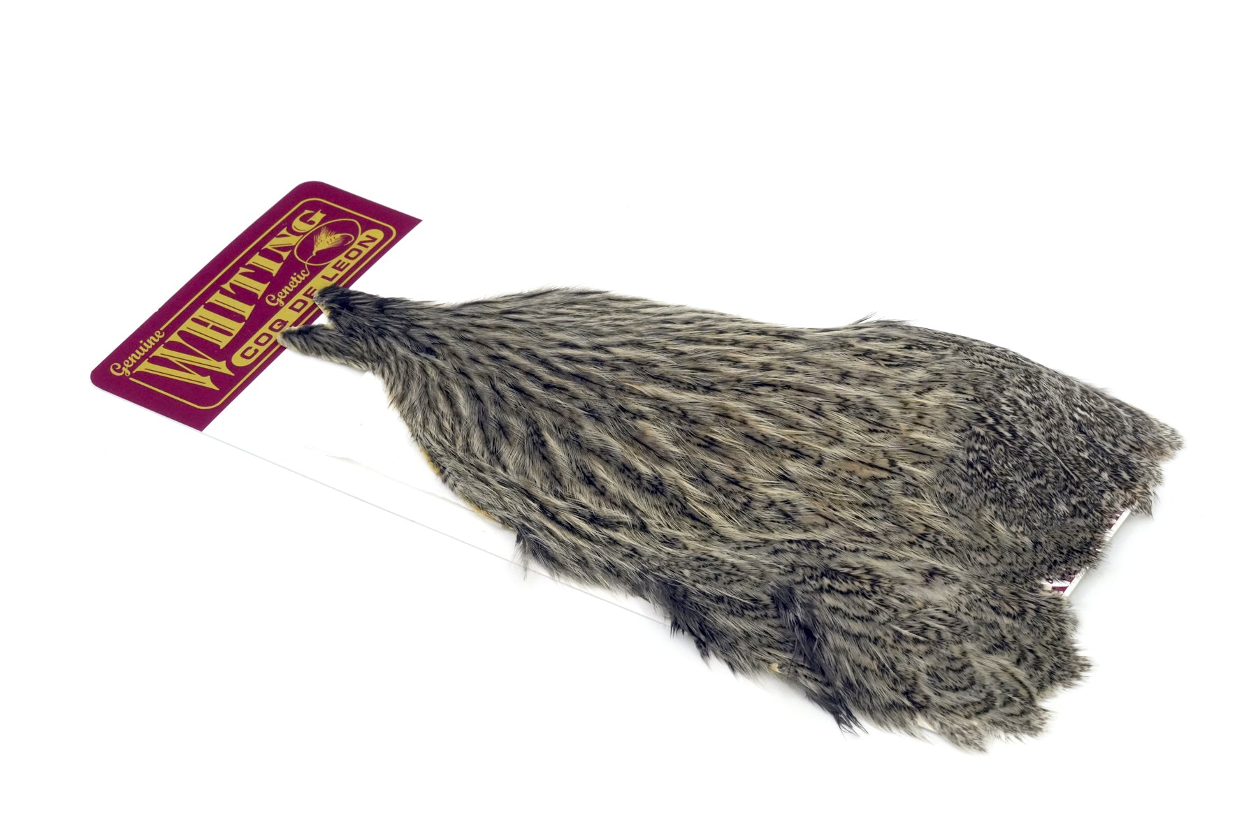 Whiting Farm スペイハックル 4色セット Whiting Farms