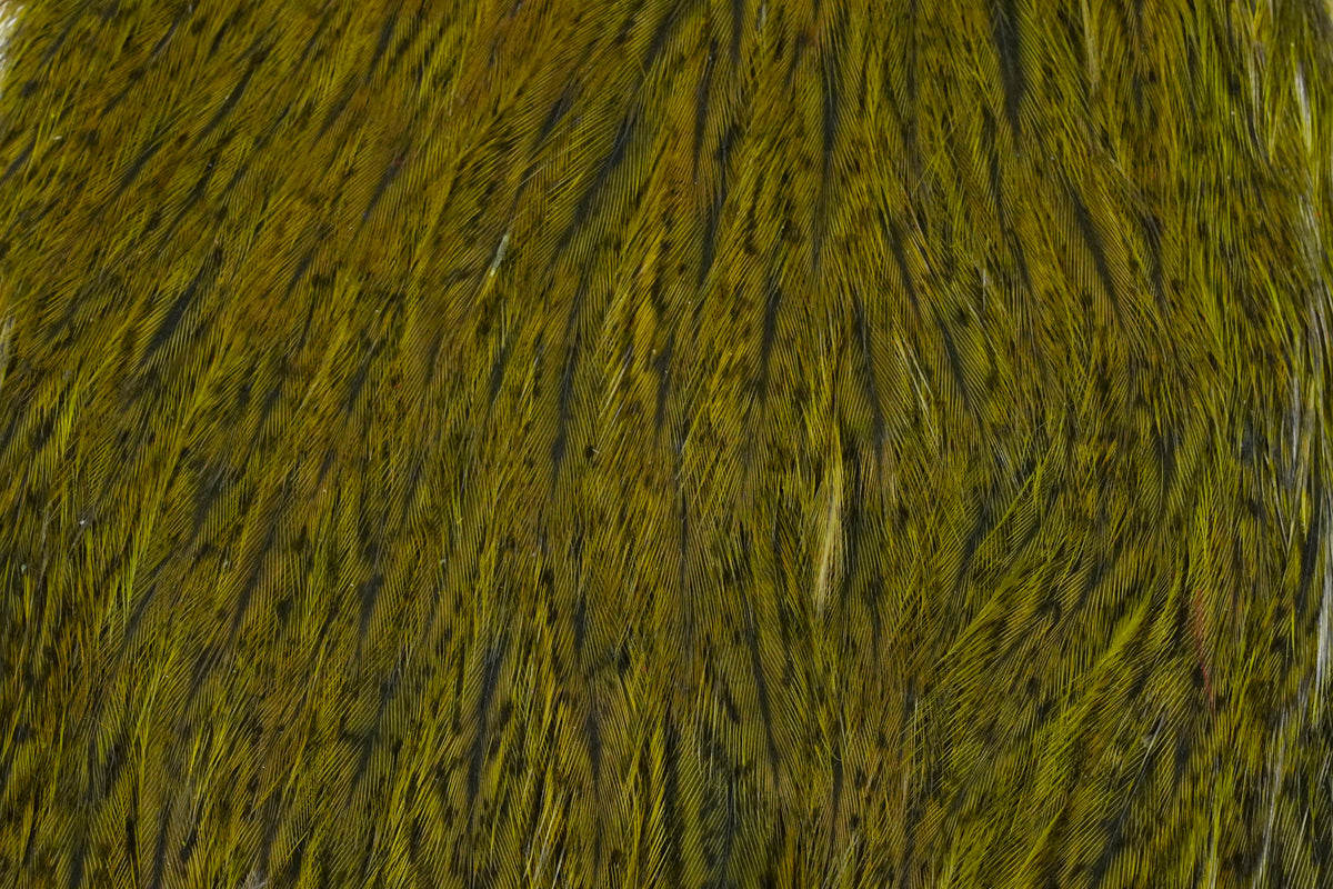 Coq de Leon Hen Cape – Whiting Farms
