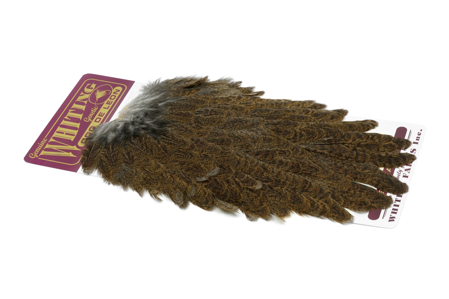ホワイティング　コックデレオン　サドルハックル ダークパルド　ブロンズグレード Coq de Leon Hen Saddle – Whiting Farms