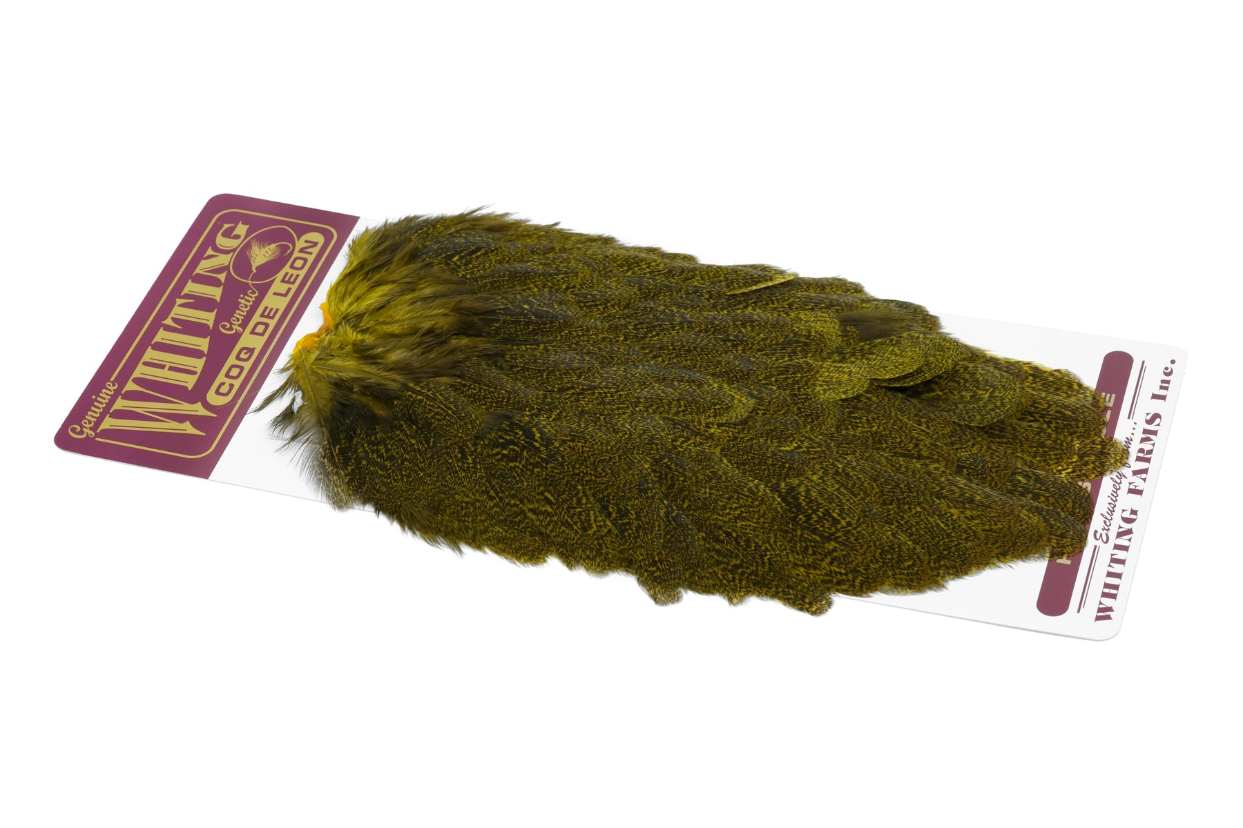 Coq de Leon Hen Saddle – Whiting Farms