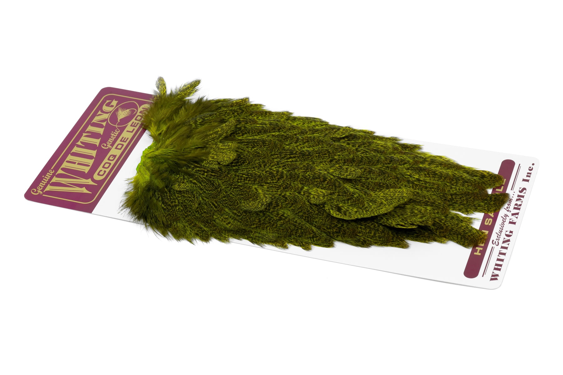 nx01 WHITING Coq de Leon ヘンサドル Olive Coq de Leon Hen Saddle – Whiting Farms