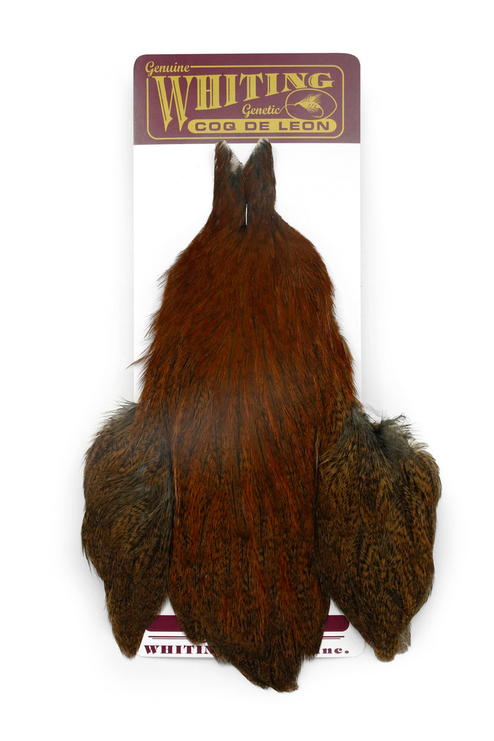 Coq de Leon Hen Cape