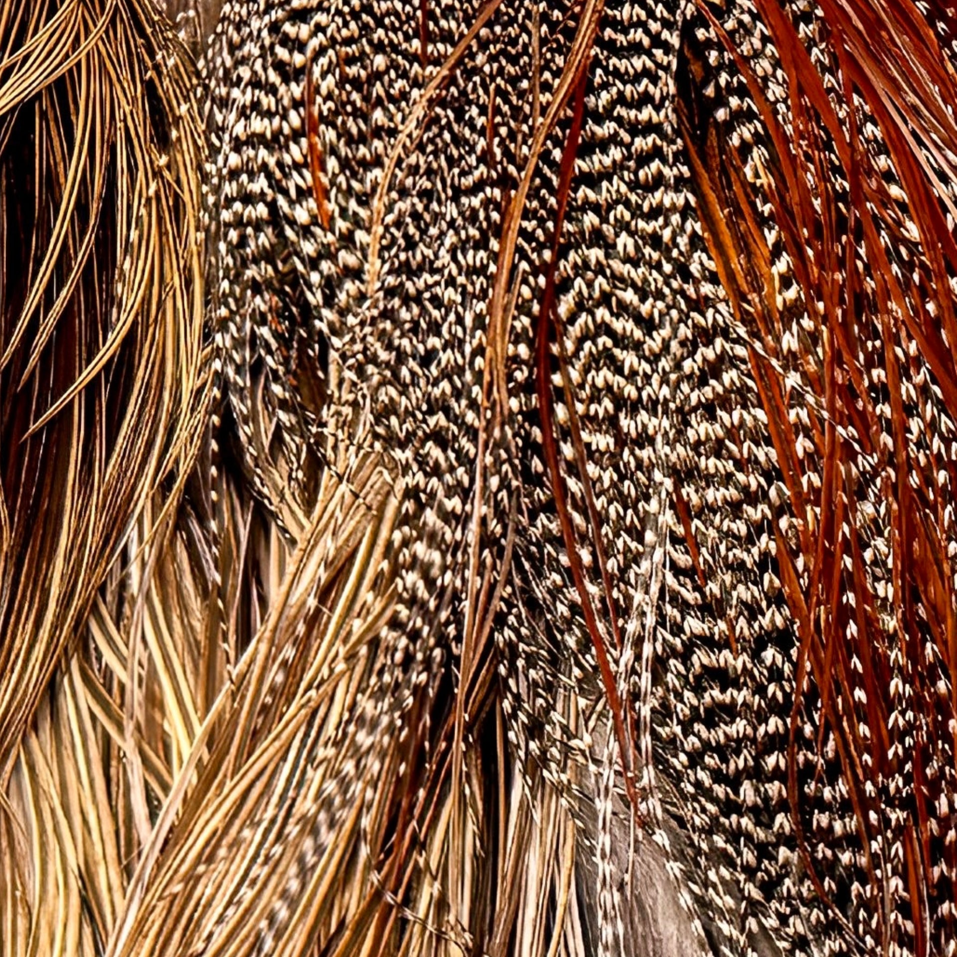 Whiting Farms