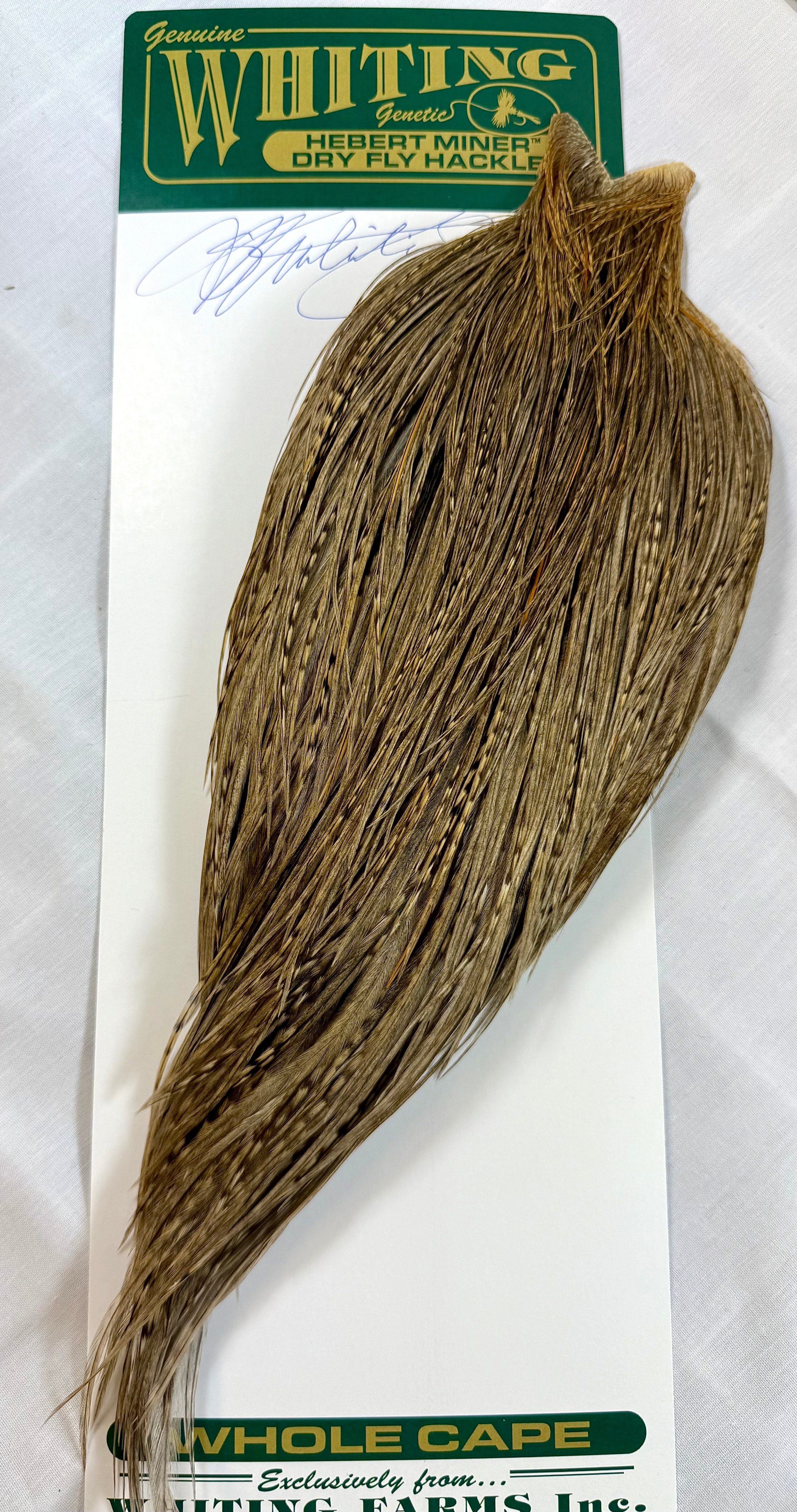 Signature Pelts