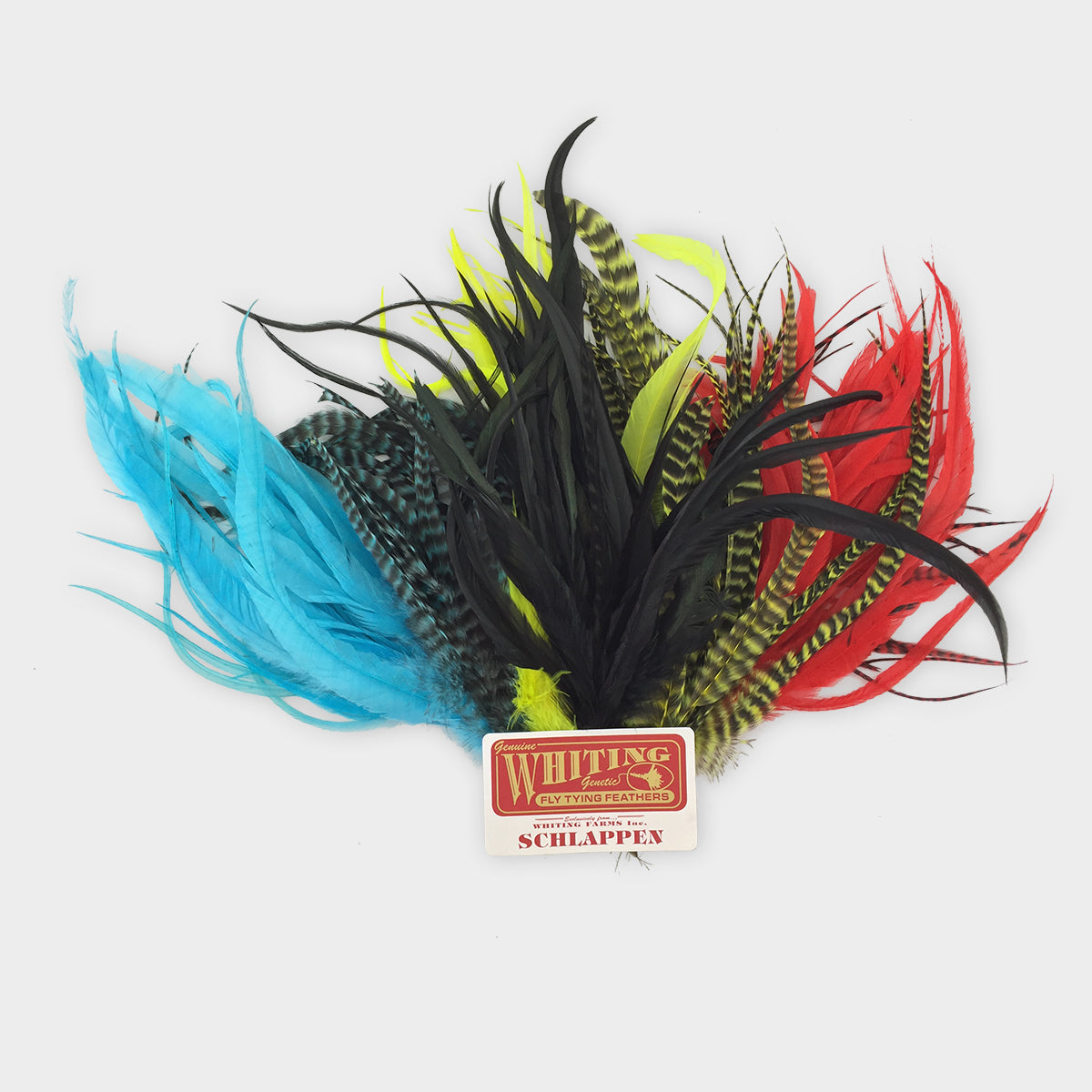Packs and Other Feathers