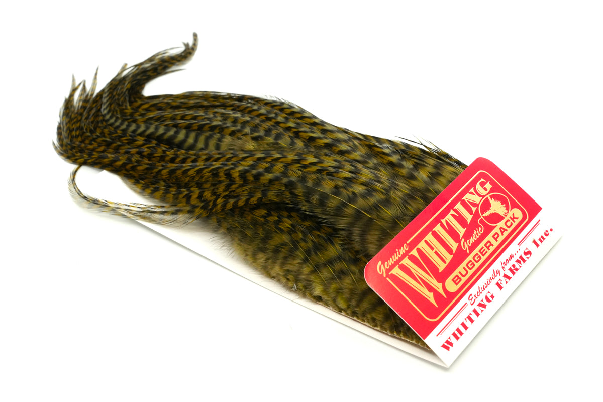 Whiting Bugger Pack – Whiting Farms
