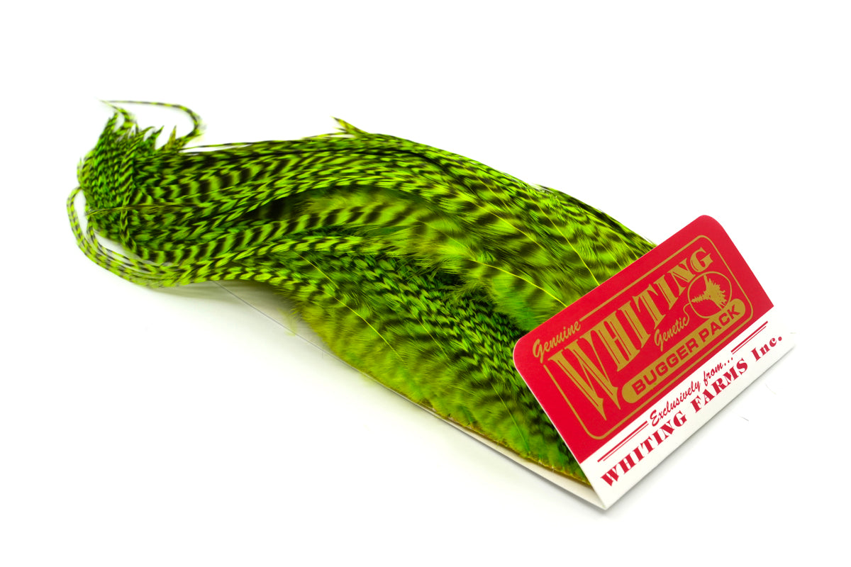 き*ゃ様 フライフィッシング　グリズリー　ハックルN Whiting Farms Whiting Bugger Pack – Whiting Farms