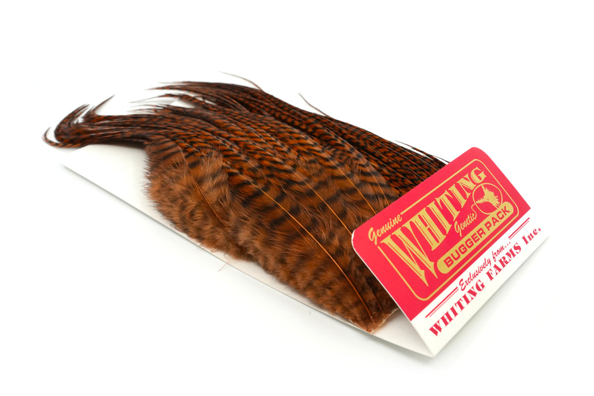 き*ゃ様 フライフィッシング　グリズリー　ハックルN Whiting Farms Whiting Bugger Pack – Whiting Farms