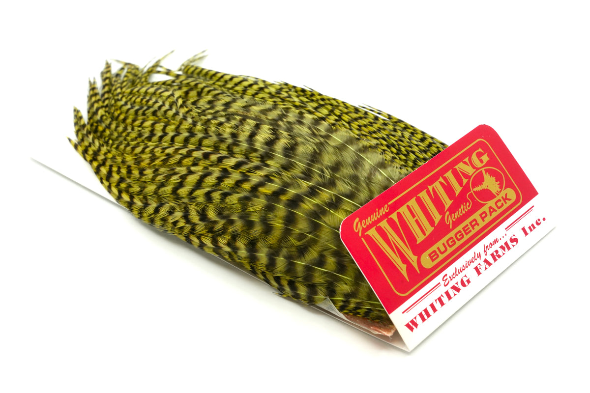き*ゃ様 フライフィッシング　グリズリー　ハックルN Whiting Farms Whiting Bugger Pack – Whiting Farms