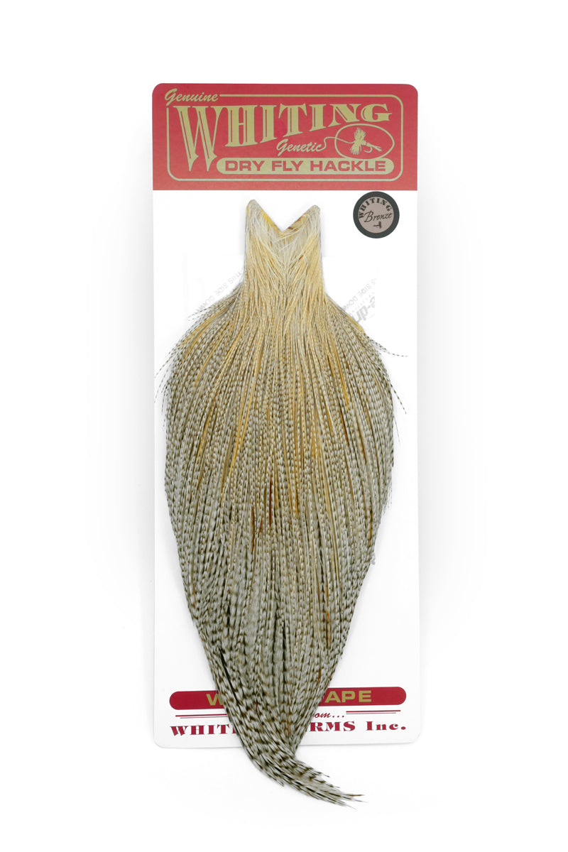 Whiting Bronze Cape – Whiting Farms