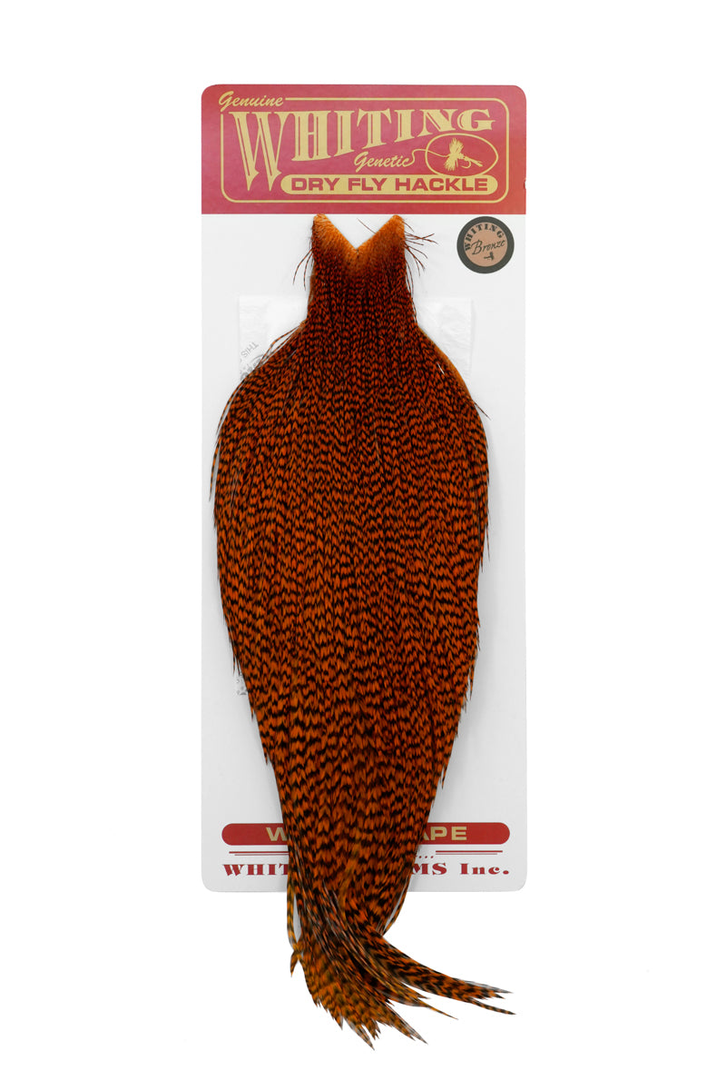 Whiting Bronze Cape – Whiting Farms