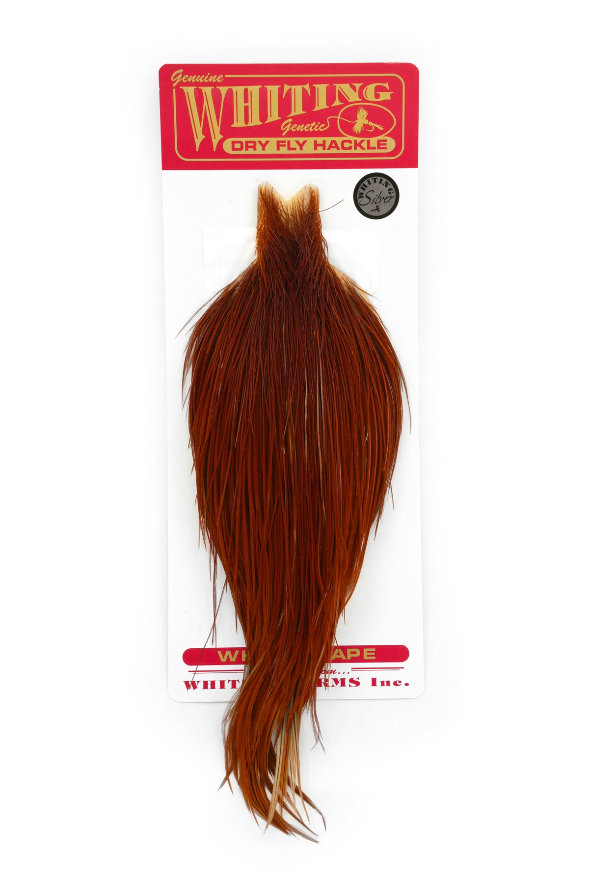 Whiting_Cape_Silver_-_Brown_-