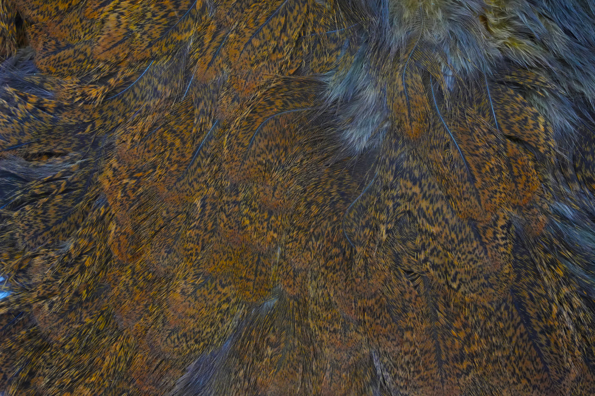 Whiting Coq De Leon Soft Hackle with Chickabou – Whiting Farms