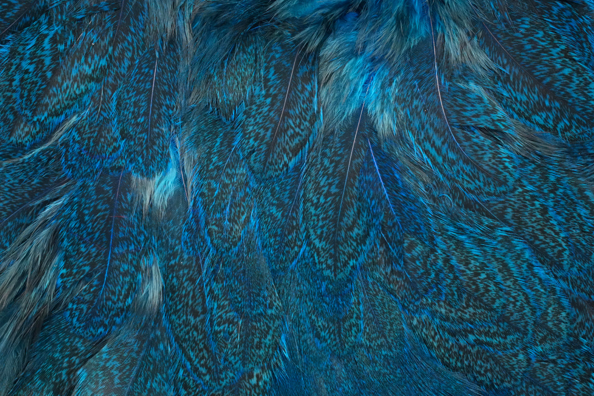 Whiting Coq De Leon Soft Hackle with Chickabou – Whiting Farms