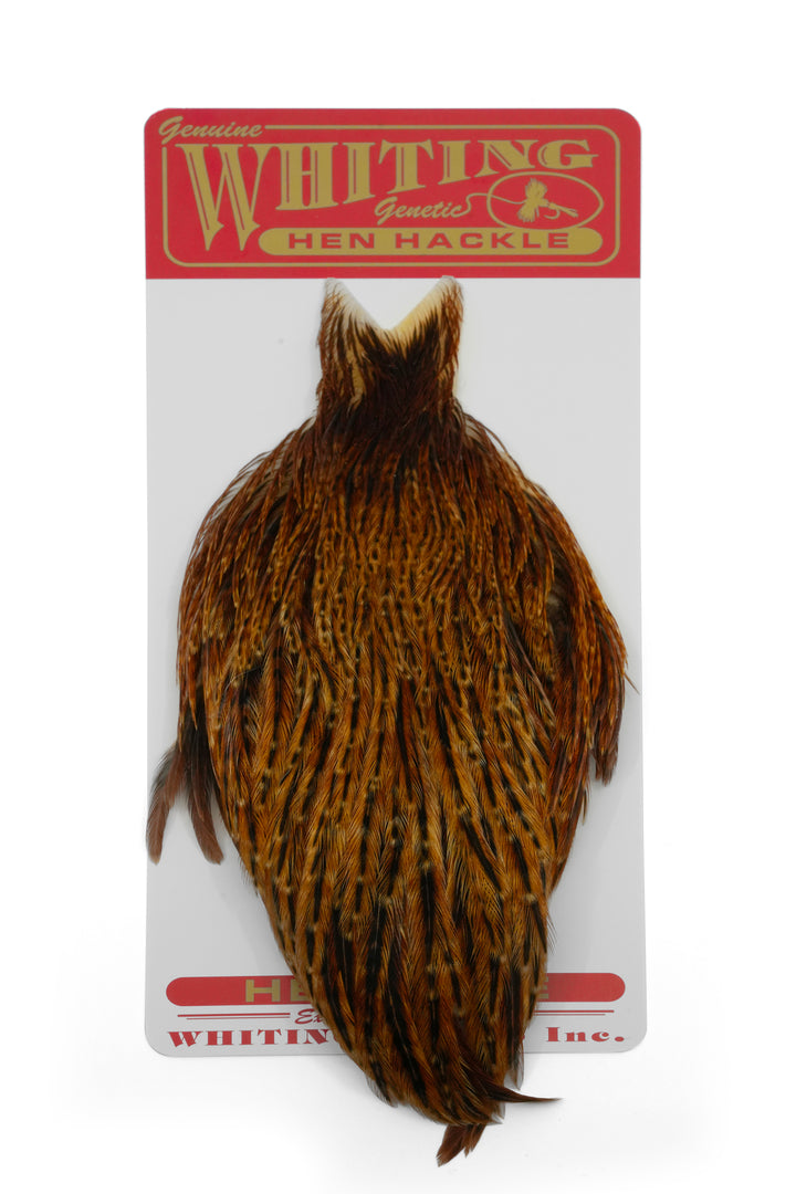 Whiting Hen Cape