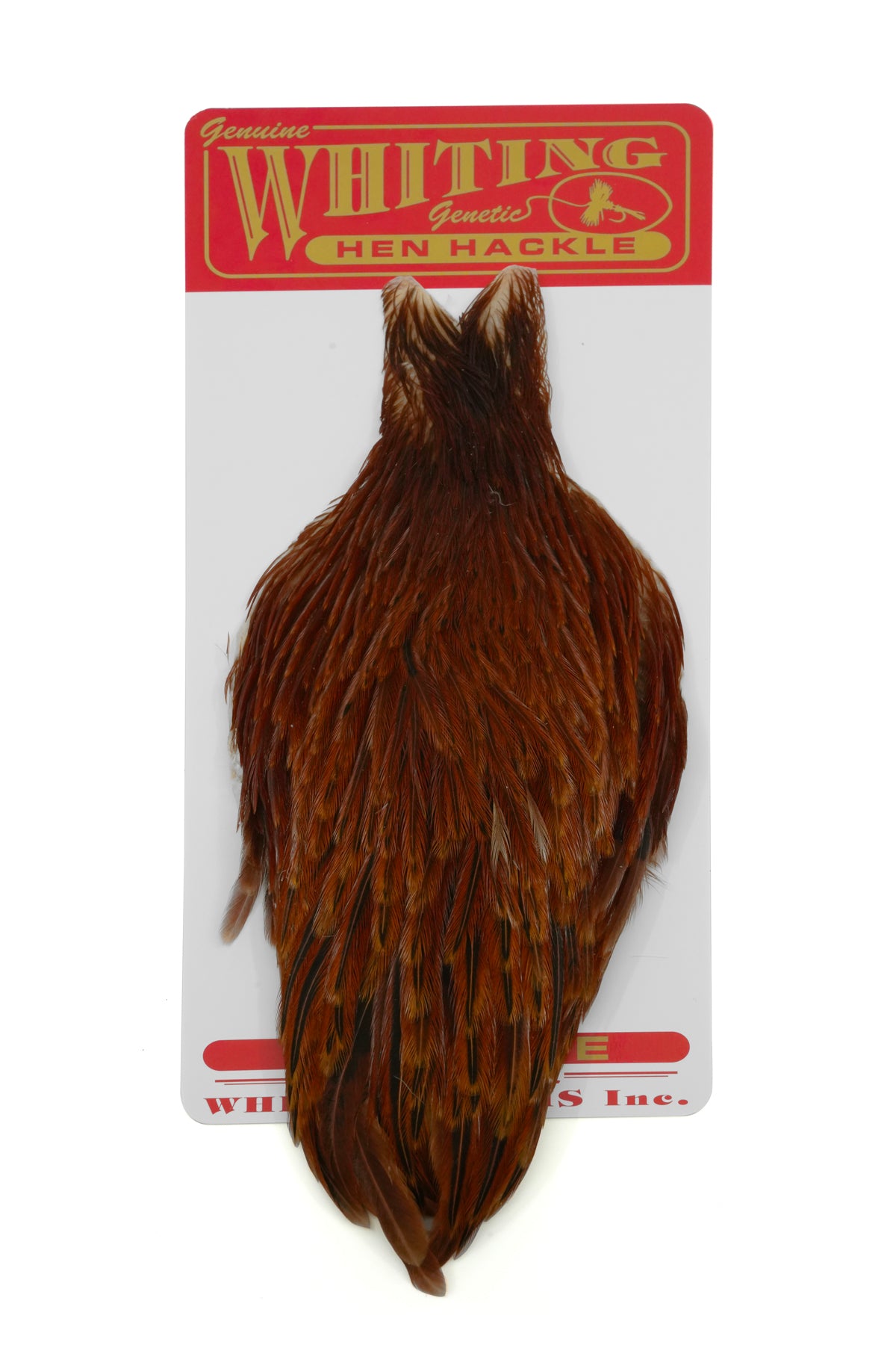 Whiting Hen Cape – Whiting Farms