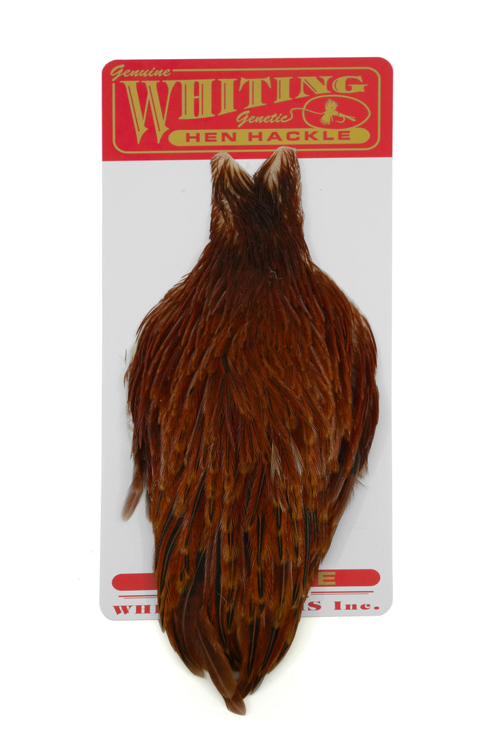 Whiting Hen Cape