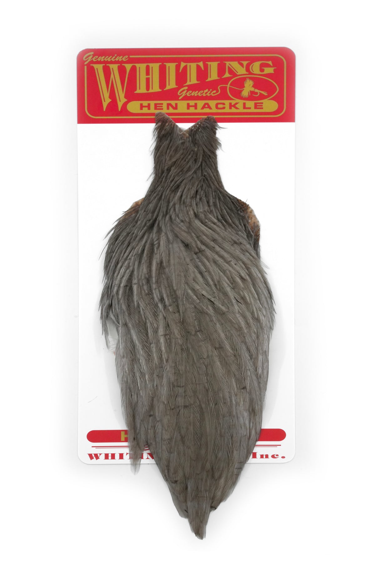 Whiting Hen Cape – Whiting Farms