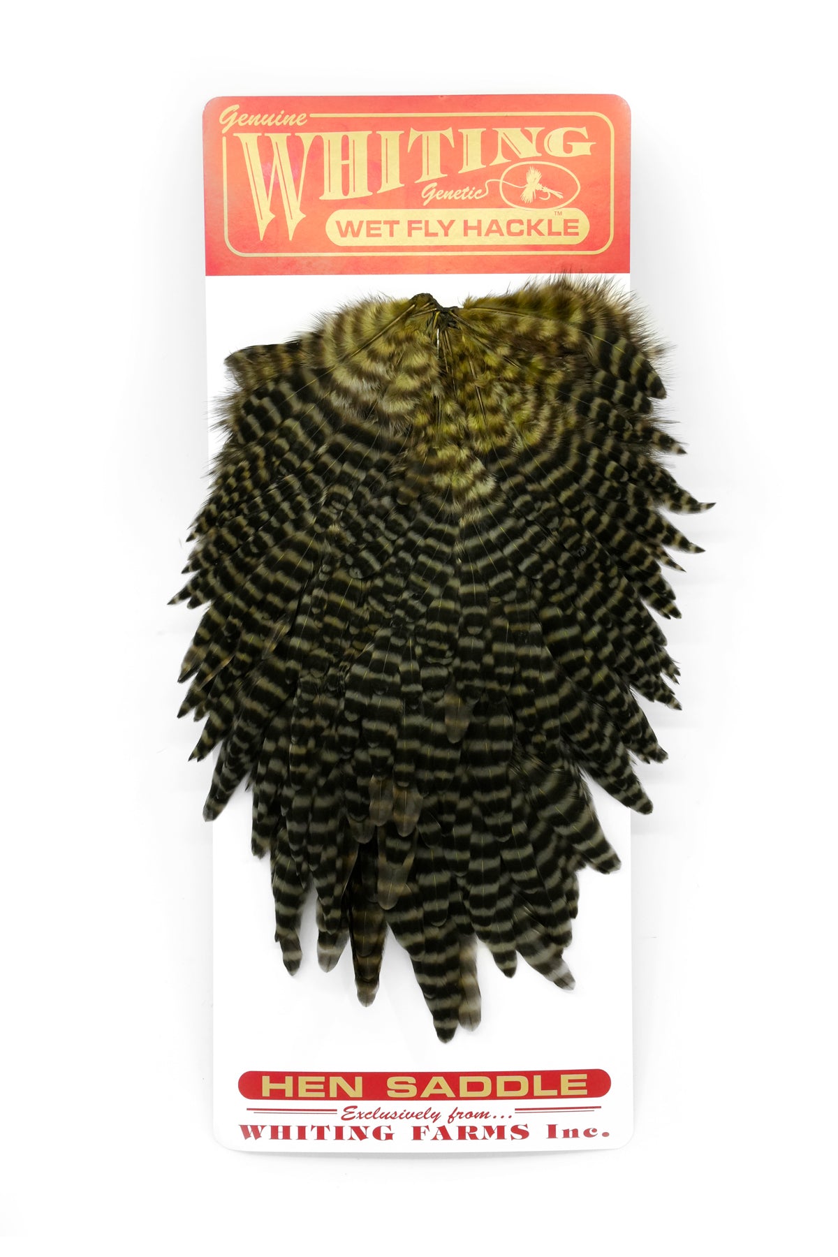 Whiting Hen Saddle – Whiting Farms