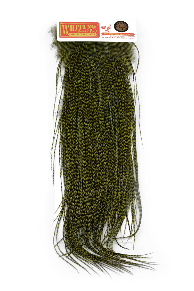 Whiting Bronze Midge Saddle