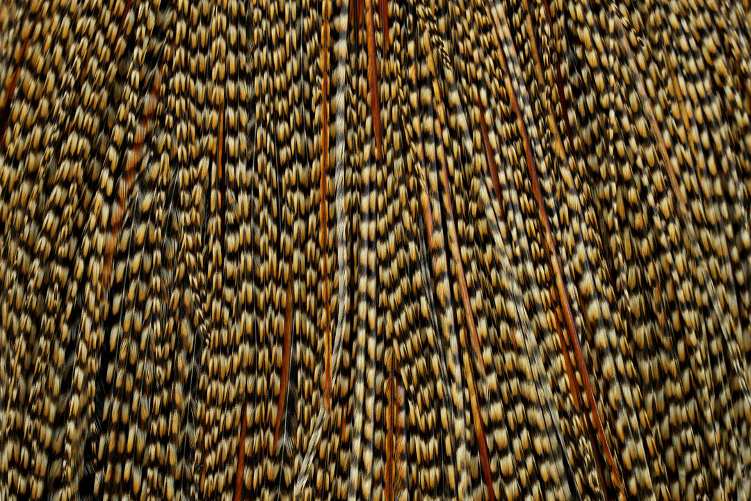 Whiting Pro Grade Cape