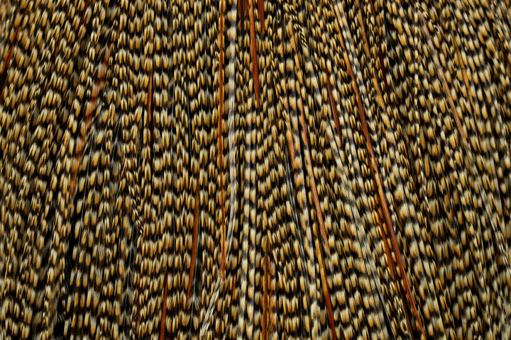 Whiting Pro Grade Cape