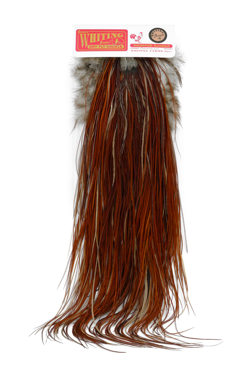 Whiting Bronze Saddle – Whiting Farms