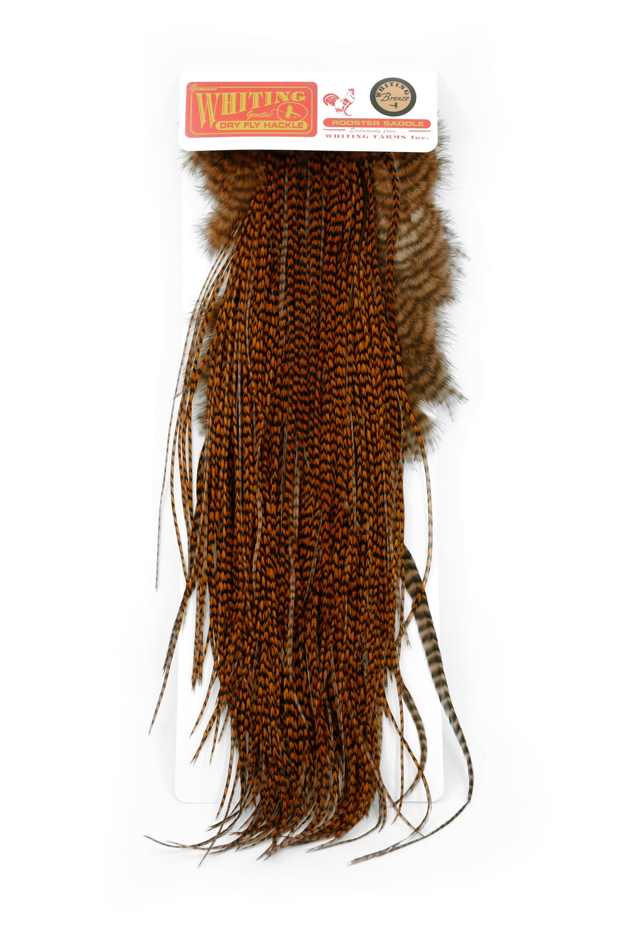 Whiting Bronze Saddle – Whiting Farms