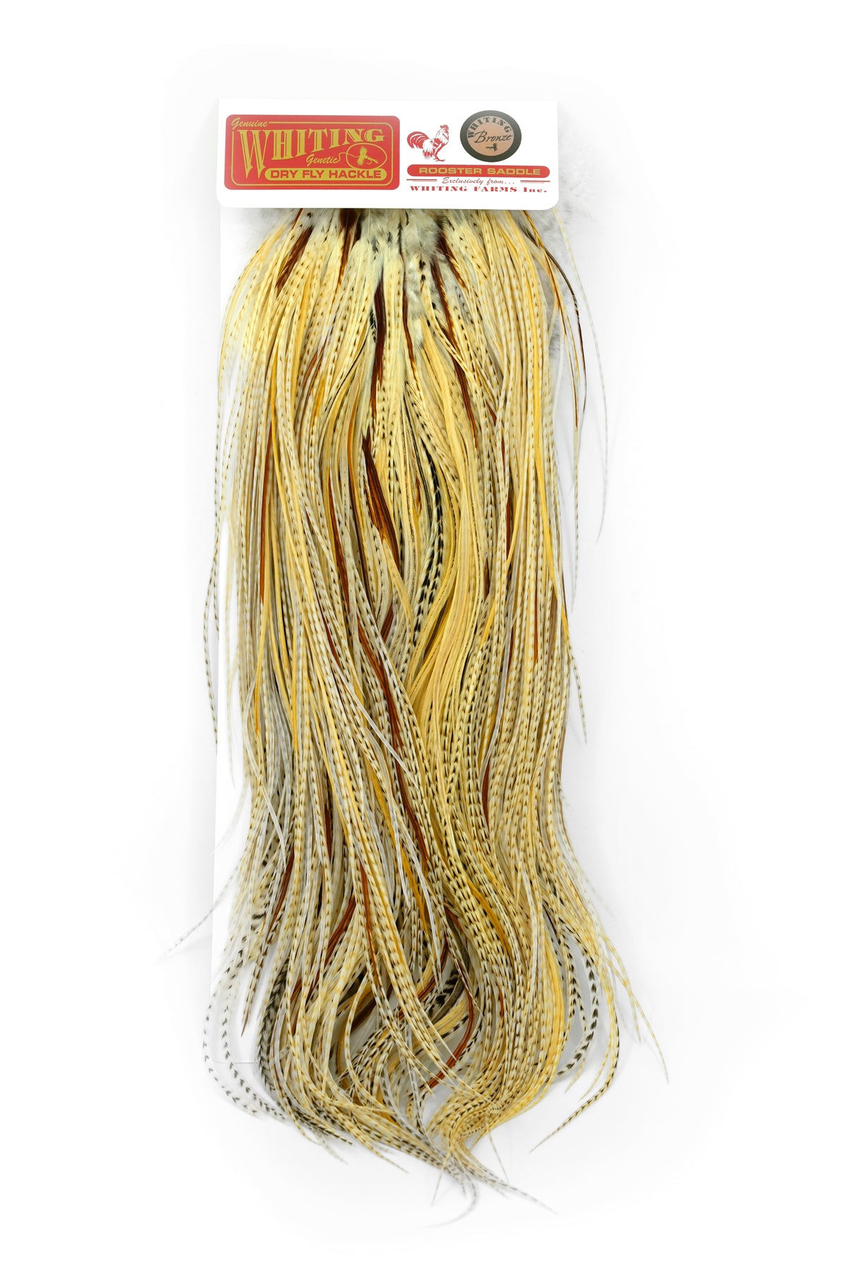 Whiting Bronze Saddle – Whiting Farms