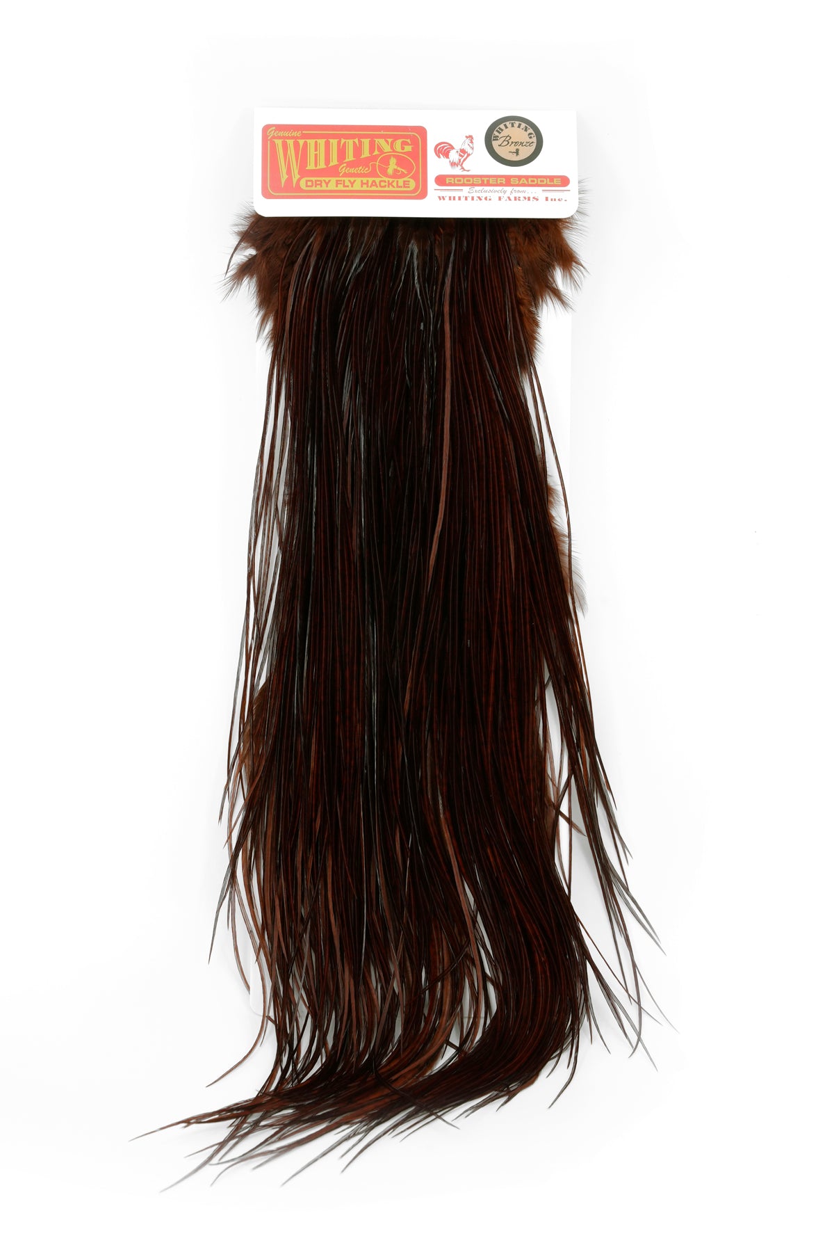 Whiting Bronze Saddle – Whiting Farms