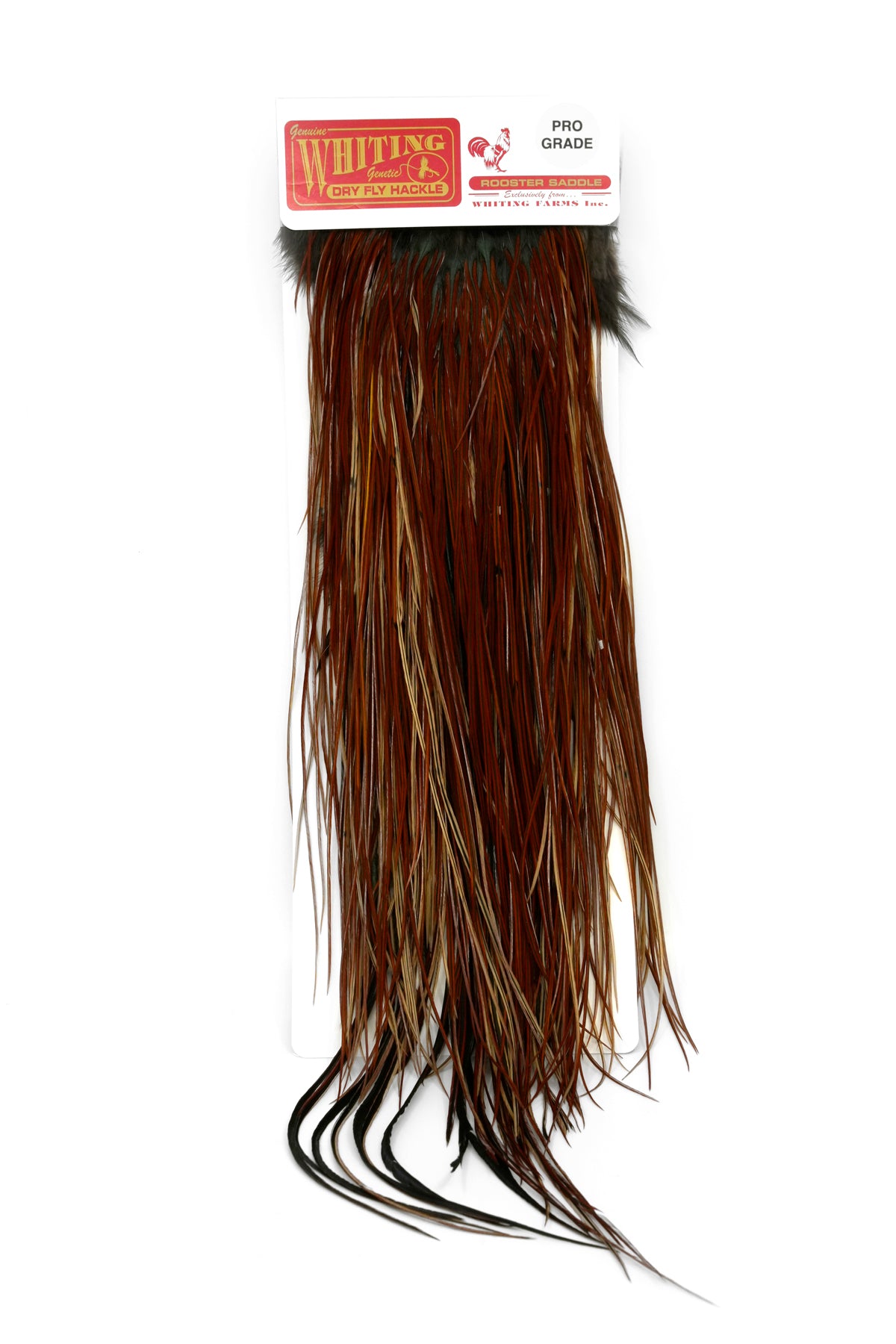 Whiting Pro Grade Saddle – Whiting Farms