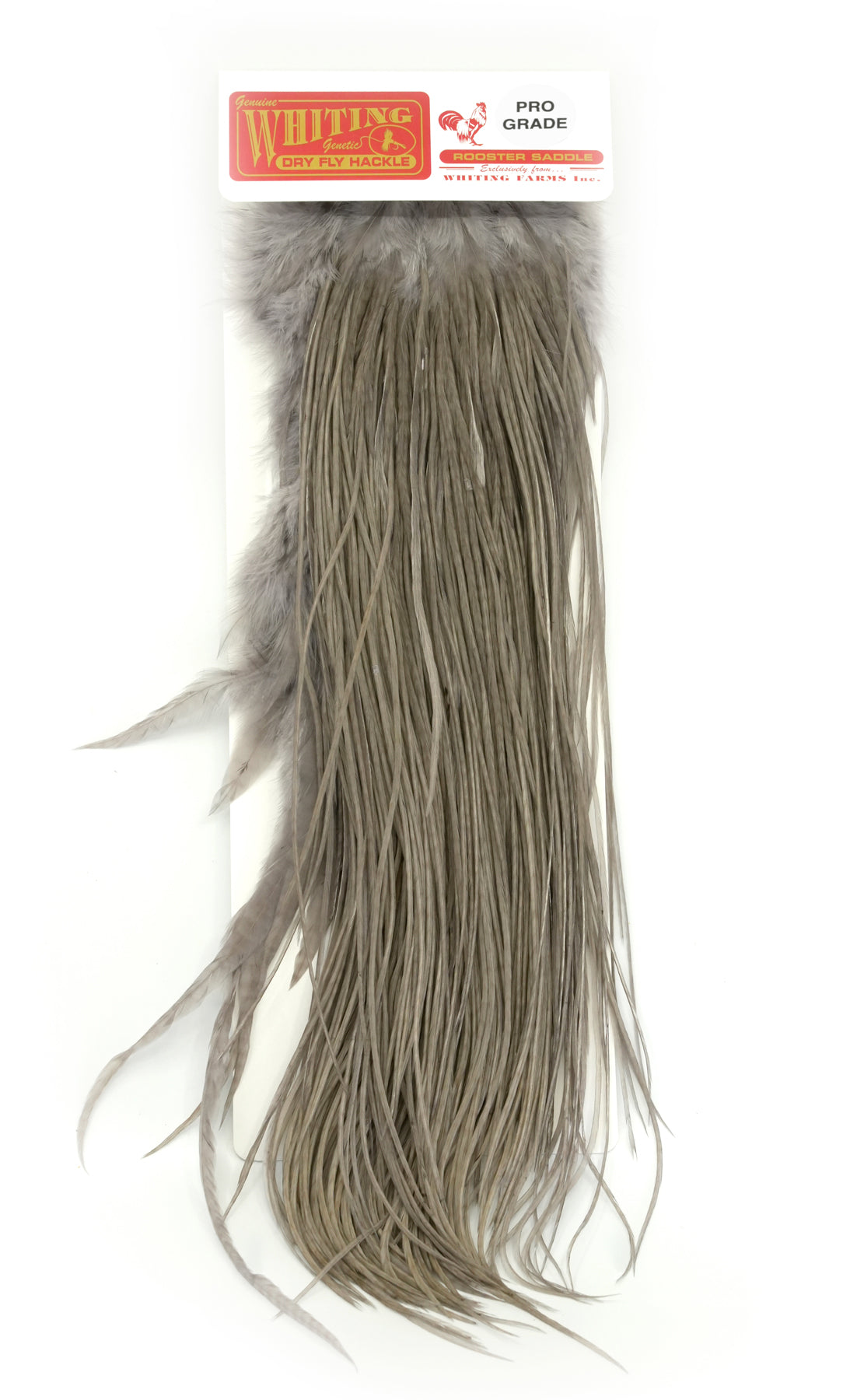 ルアー・フライ WHITING BRONZE ROOSTER SADDLE WHITE Whiting Bronze