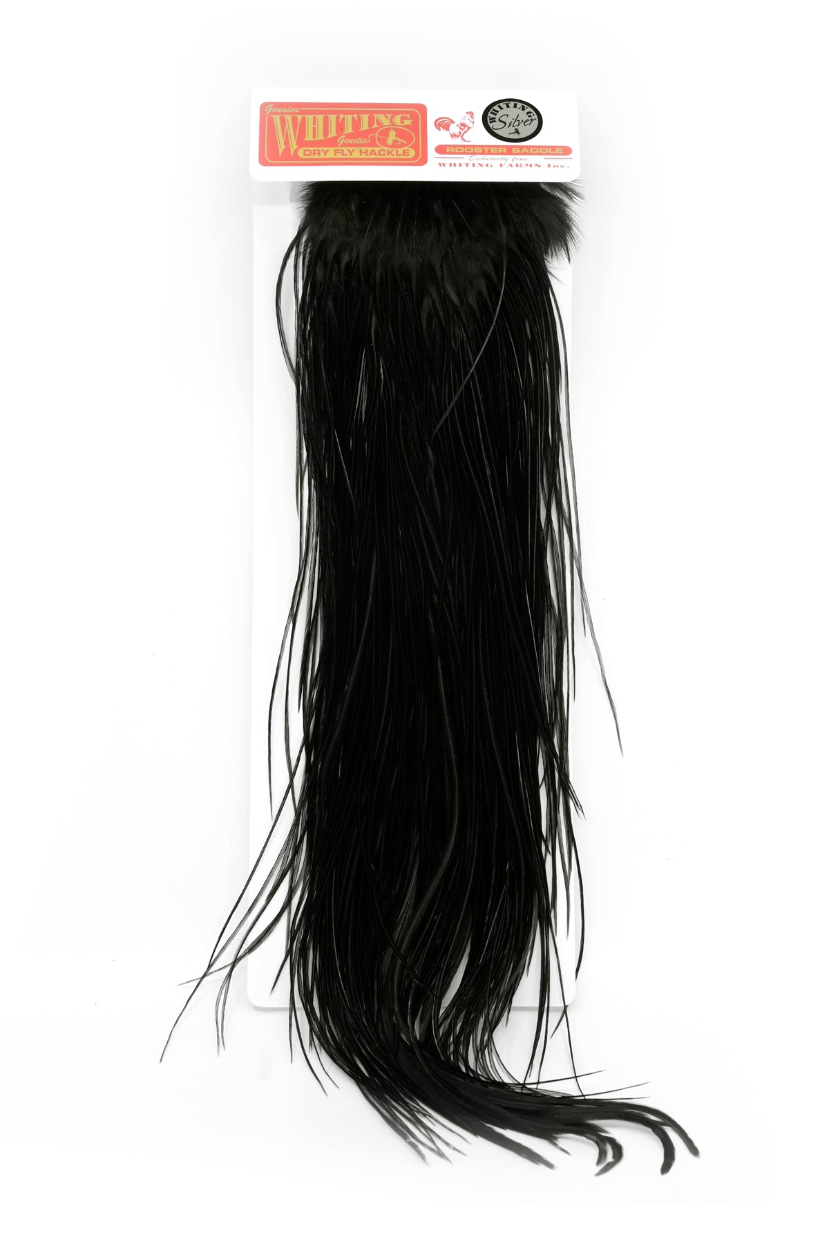 【未使用】 Whiting Light dyed Dun #Silver Whiting Feathers – charliesflybox