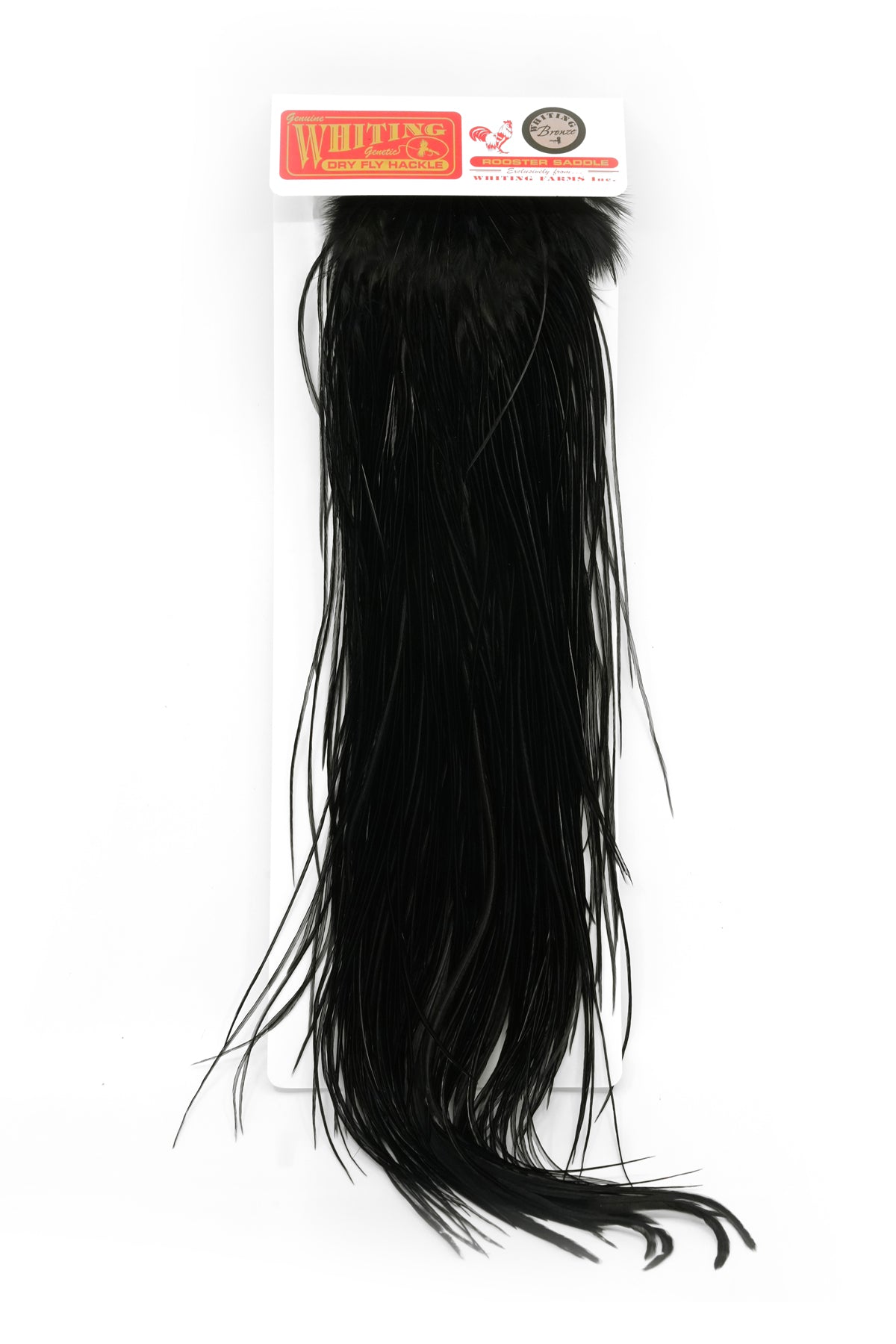 Whiting Bronze Saddle – Whiting Farms