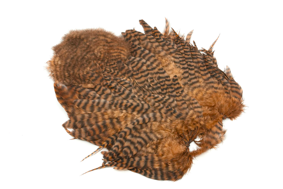 Whiting Rooster Soft Hackle with Chickabou