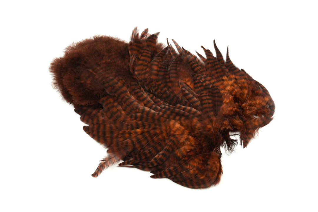 Whiting Rooster Soft Hackle with Chickabou