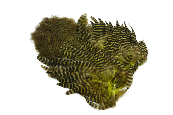 Whiting Rooster Soft Hackle with Chickabou