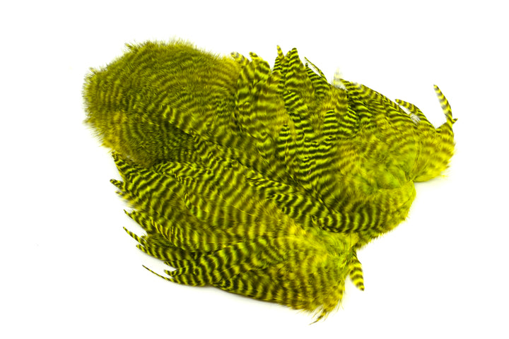 Whiting Rooster Soft Hackle with Chickabou